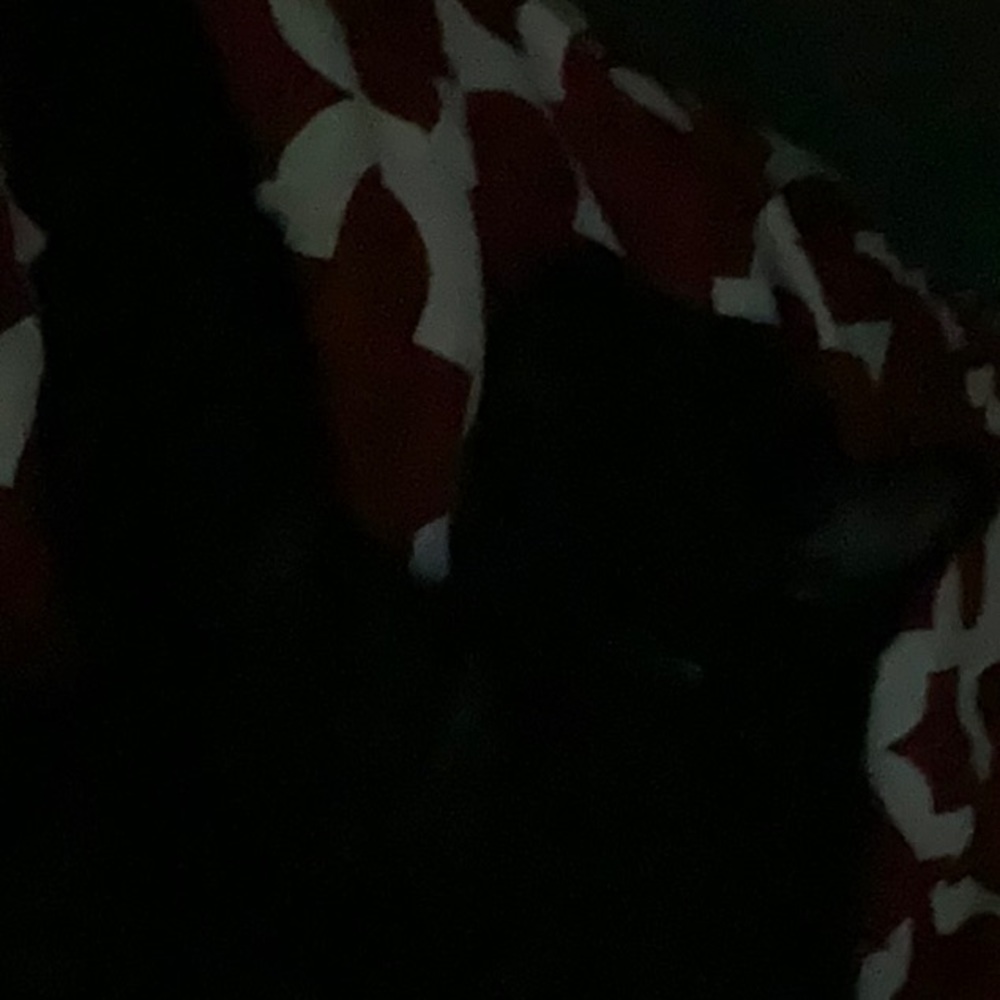 Meet your Posher, Alexandria